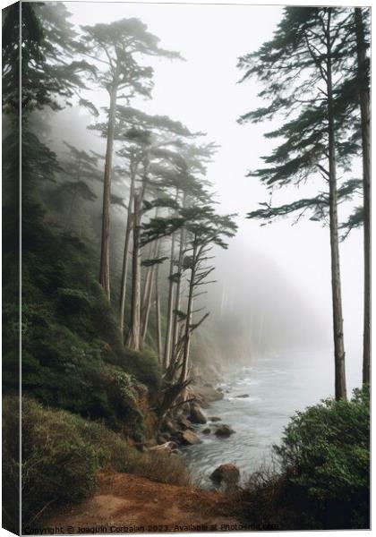 A misty morning in the forest, natural background. Canvas Print by Joaquin Corbalan