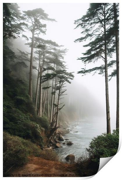 A misty morning in the forest, natural background. Print by Joaquin Corbalan