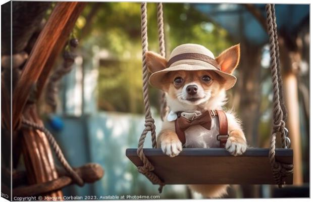 A little dog in clothes and glasses swings funny o Canvas Print by Joaquin Corbalan