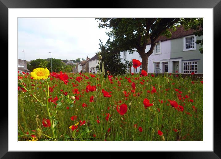 The Triangle Community Garden in Hythe Kent  Framed Mounted Print by Antoinette B