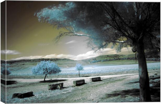Infrared photography with a long exposition Canvas Print by Jose Manuel Espigares Garc
