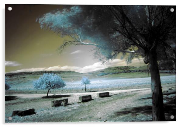 Infrared photography with a long exposition Acrylic by Jose Manuel Espigares Garc