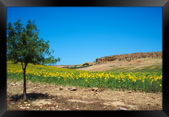 Landscape photography with a long exposition Framed Print by Jose Manuel Espigares Garc