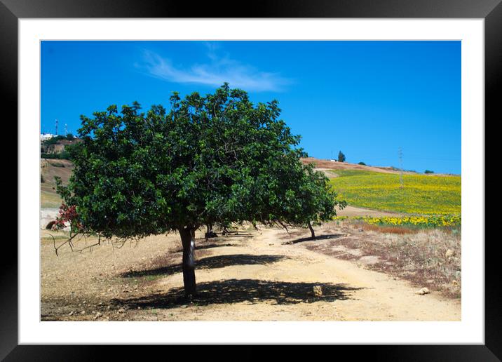 Landscape photography with a long exposition Framed Mounted Print by Jose Manuel Espigares Garc