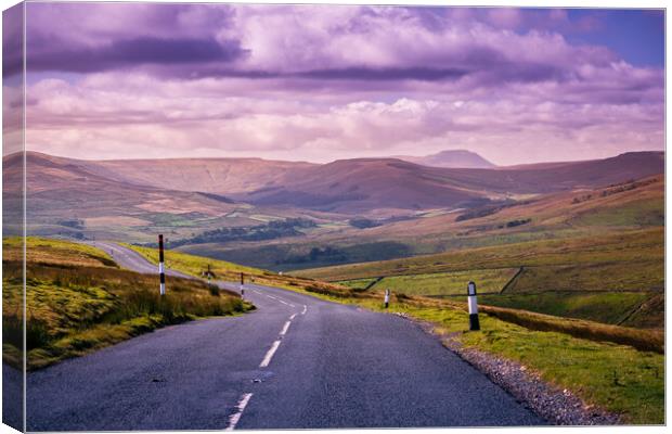 Road across the Yorkshire Dales Canvas Print by Bill Allsopp