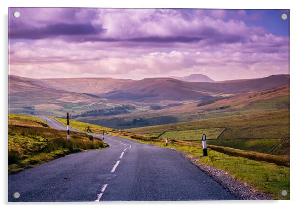 Road across the Yorkshire Dales Acrylic by Bill Allsopp