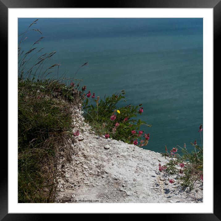 Cliff Top Framed Mounted Print by Tom Lloyd