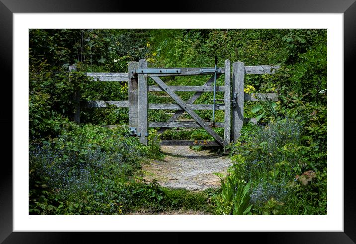 Gate to ..... Framed Mounted Print by Tom Lloyd