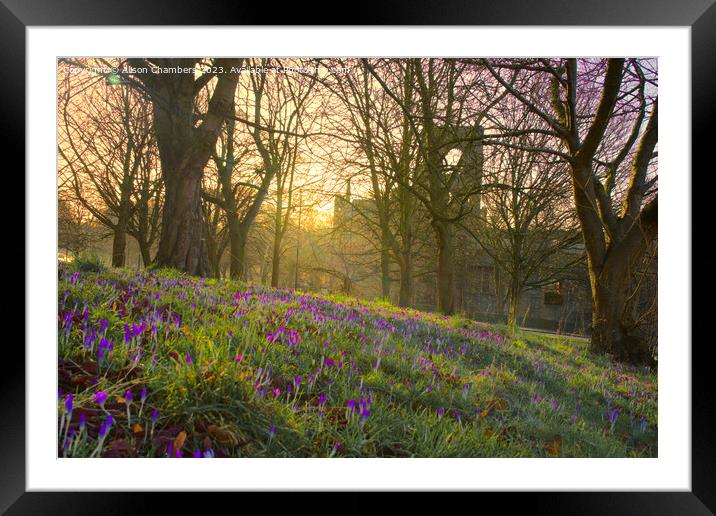 Kirkstall Abbey Leeds Framed Mounted Print by Alison Chambers