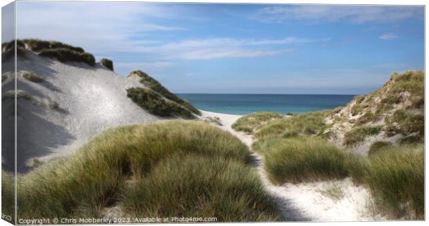 Sand dunes in the Outer Hebrides Canvas Print by Chris Mobberley
