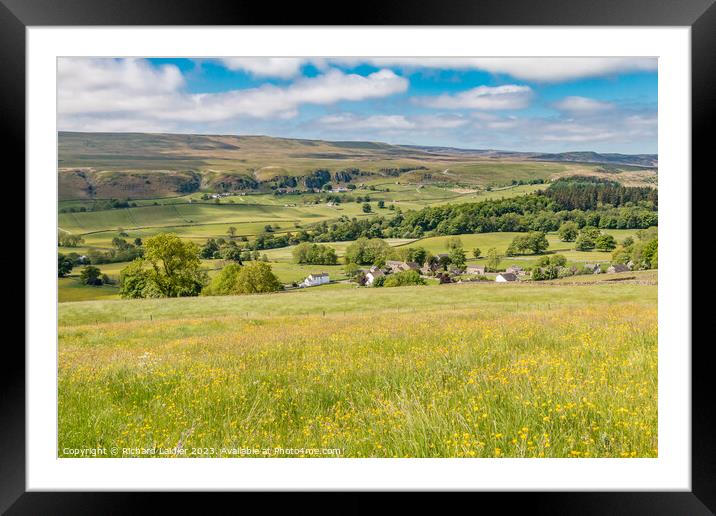 Spring in Newbiggin and Holwick, Teesdale Framed Mounted Print by Richard Laidler