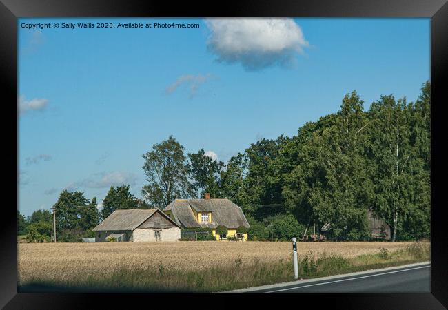 Estonian farmhouse roadside Framed Print by Sally Wallis
