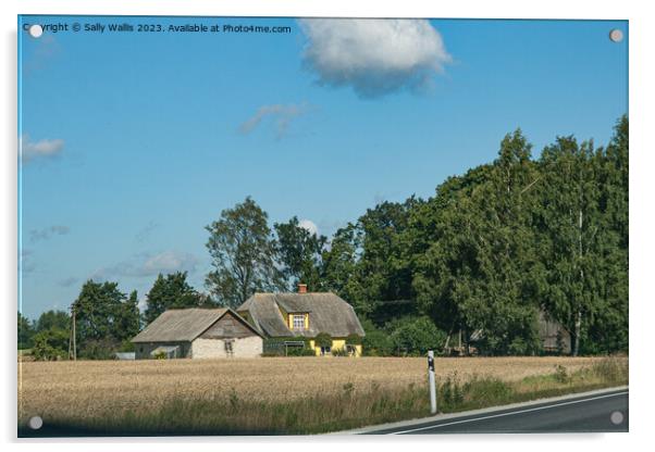 Estonian farmhouse roadside Acrylic by Sally Wallis