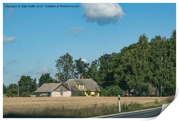 Estonian farmhouse roadside Print by Sally Wallis