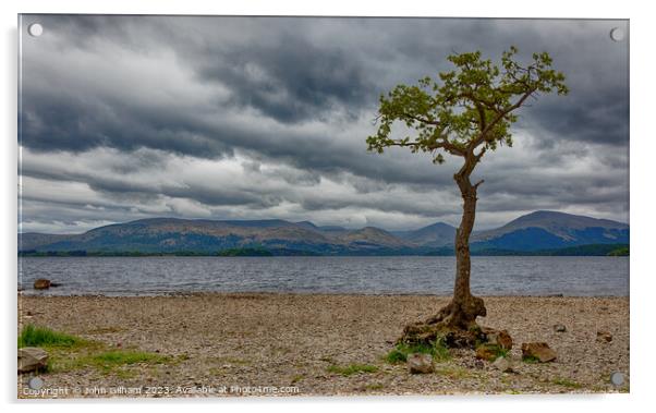 Lone Tree on Loch Lomond in Scotland Acrylic by John Gilham