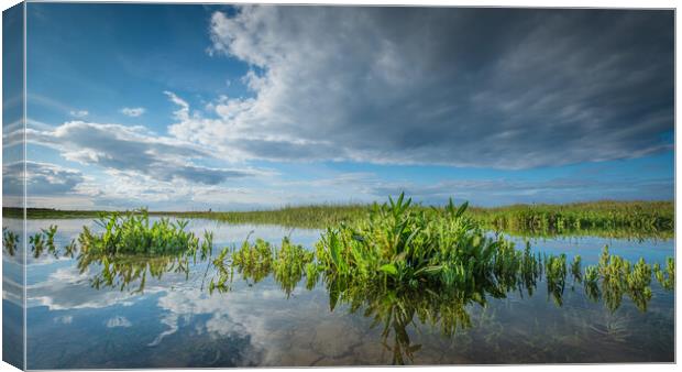 High tide on the marshes. Canvas Print by Bill Allsopp