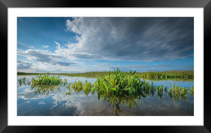 High tide on the marshes. Framed Mounted Print by Bill Allsopp