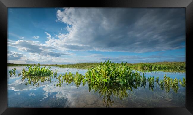 High tide on the marshes. Framed Print by Bill Allsopp