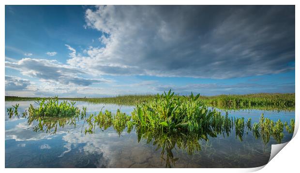 High tide on the marshes. Print by Bill Allsopp