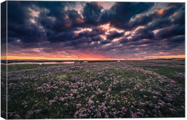 Sunrise over Sea Lavender Canvas Print by Bill Allsopp
