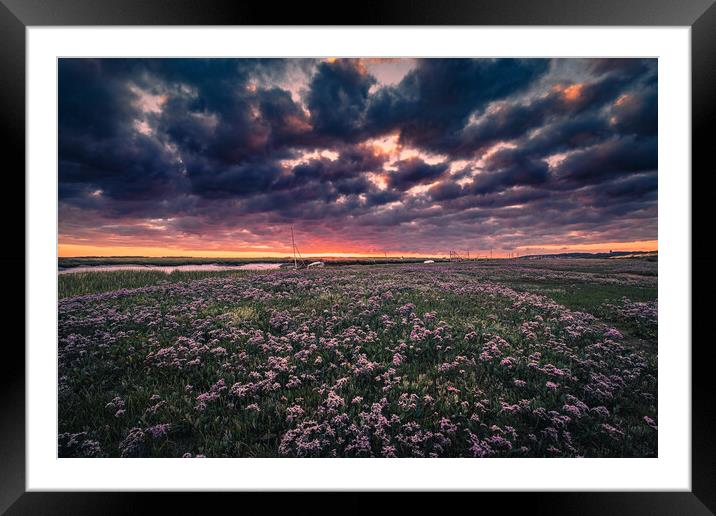 Sunrise over Sea Lavender Framed Mounted Print by Bill Allsopp
