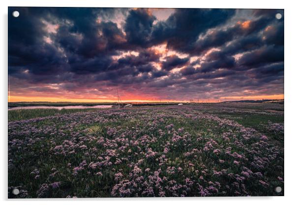Sunrise over Sea Lavender Acrylic by Bill Allsopp