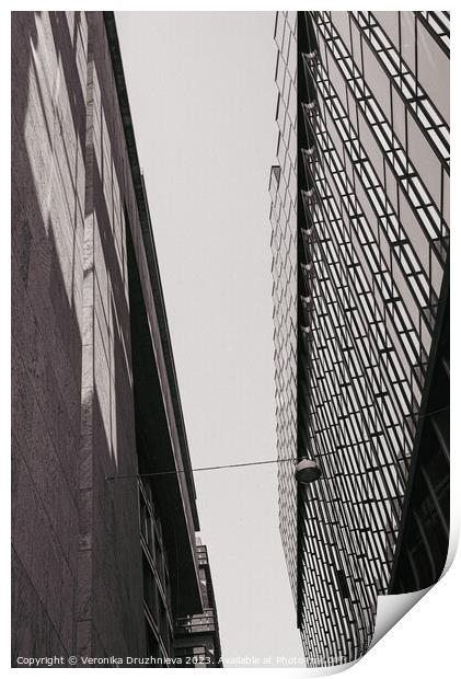 Building street in Amsterdam  Print by Veronika Druzhnieva