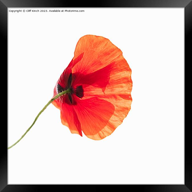 Fiery Remembrance Framed Print by Cliff Kinch