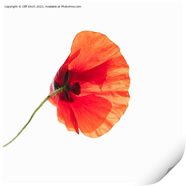 Fiery Remembrance Print by Cliff Kinch