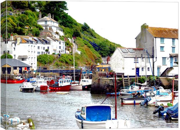 Picturesque Polperro Canvas Print by john hill