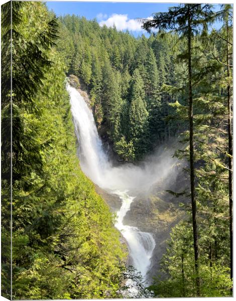 Upper Wallace water falls in Washington state Canvas Print by Thomas Baker