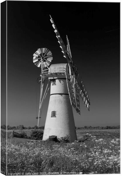 Thurne Mill Portrait in black and white  Canvas Print by Sally Lloyd