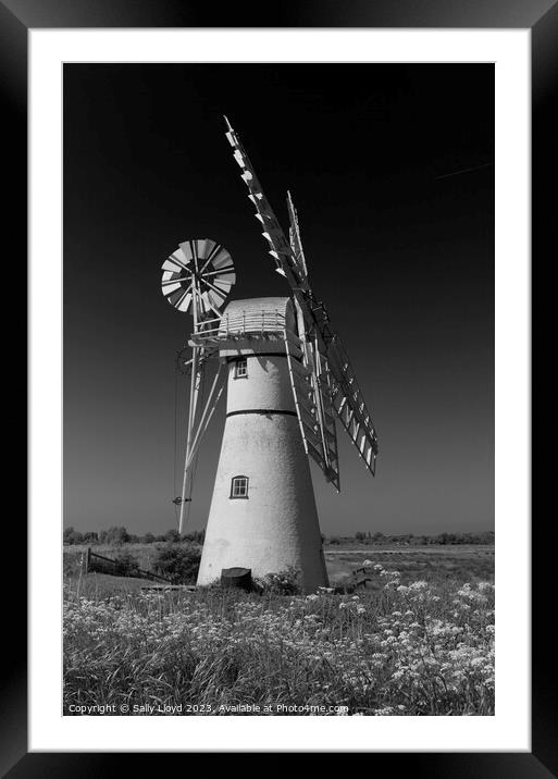 Thurne Mill Portrait in black and white  Framed Mounted Print by Sally Lloyd