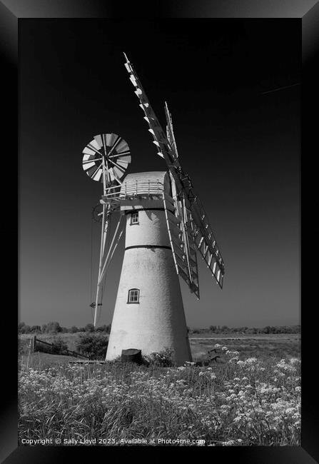 Thurne Mill Portrait in black and white  Framed Print by Sally Lloyd