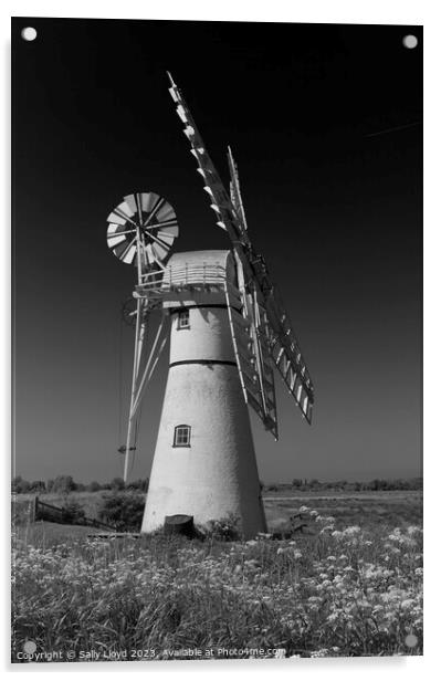 Thurne Mill Portrait in black and white  Acrylic by Sally Lloyd
