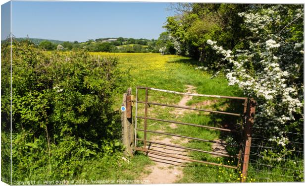 A Country Walk in English Countryside Canvas Print by Pearl Bucknall