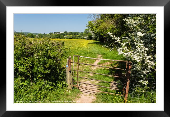 A Country Walk in English Countryside Framed Mounted Print by Pearl Bucknall