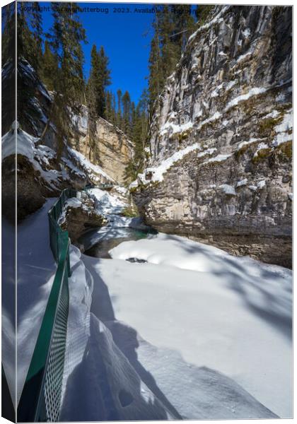Snowy Johnston Creek (Alberta) Canvas Print by rawshutterbug 