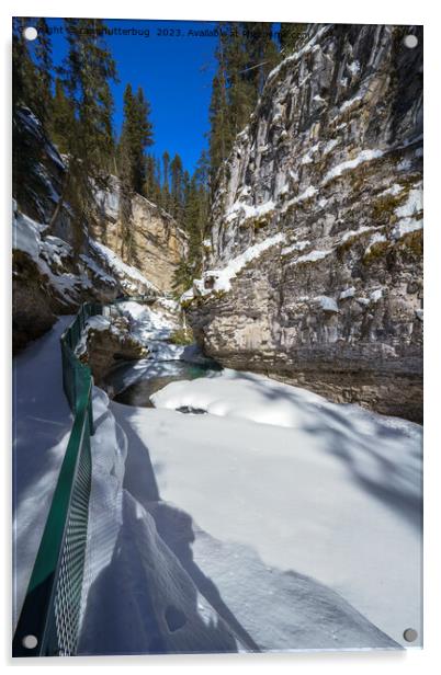 Snowy Johnston Creek (Alberta) Acrylic by rawshutterbug 