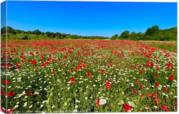 Serene Scene: A Peaceful Field of Poppies Canvas Print by Simon Marlow