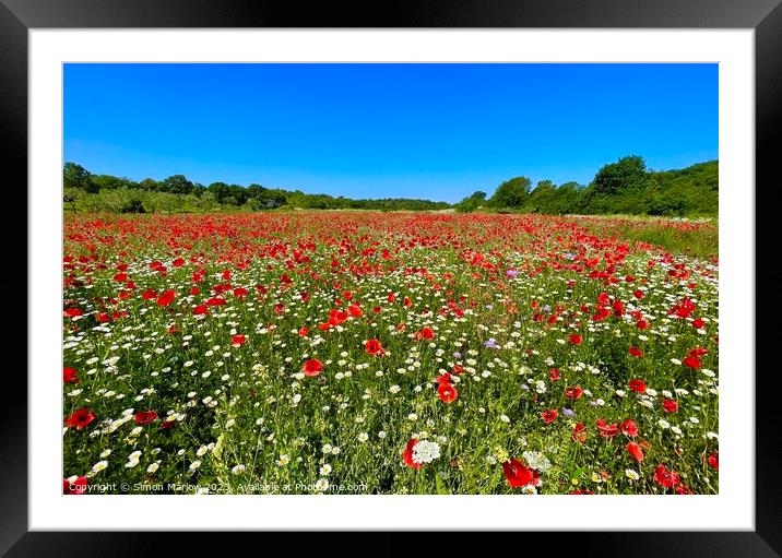 Serene Scene: A Peaceful Field of Poppies Framed Mounted Print by Simon Marlow