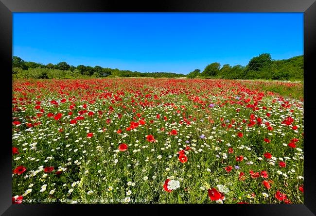 Serene Scene: A Peaceful Field of Poppies Framed Print by Simon Marlow