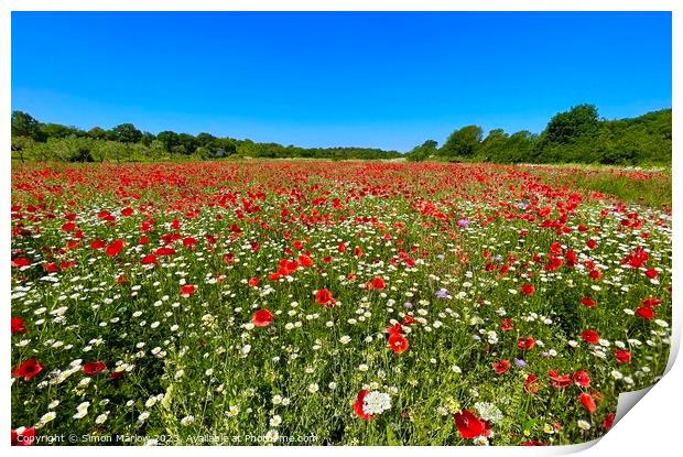 Serene Scene: A Peaceful Field of Poppies Print by Simon Marlow