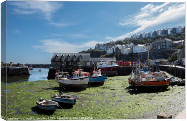 Serenity in Mevagissey Canvas Print by Paul Chambers