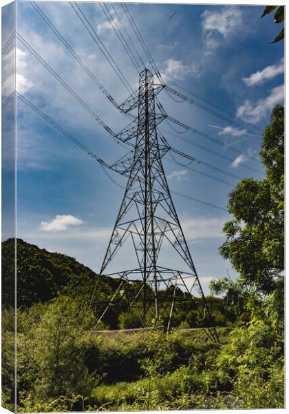 Pylon 2023 Canvas Print by Glen Allen