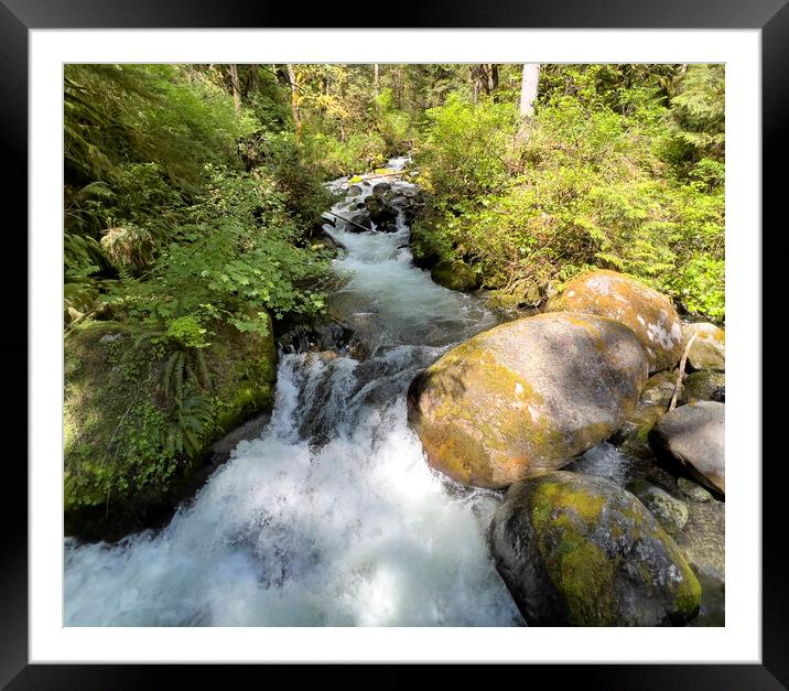 Small brook with little water falls in Washington state Framed Mounted Print by Thomas Baker