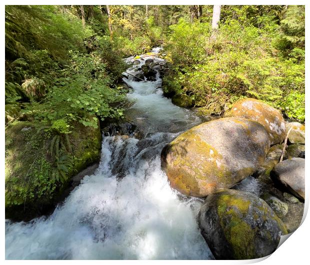 Small brook with little water falls in Washington state Print by Thomas Baker