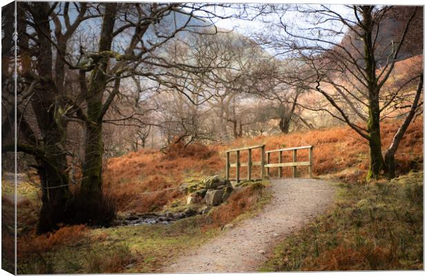 Lake district paths and walks  Canvas Print by christian maltby