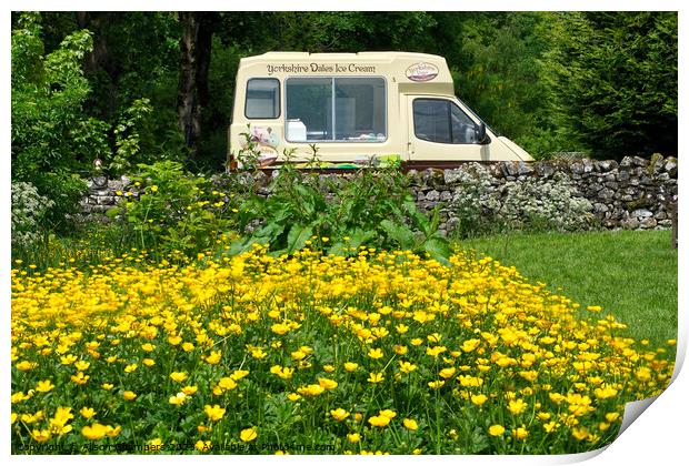 Yorkshire Dales Ice Cream  Print by Alison Chambers