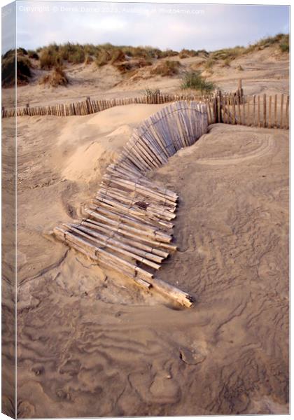 Captivating Broken Fence on Camber Sands Canvas Print by Derek Daniel